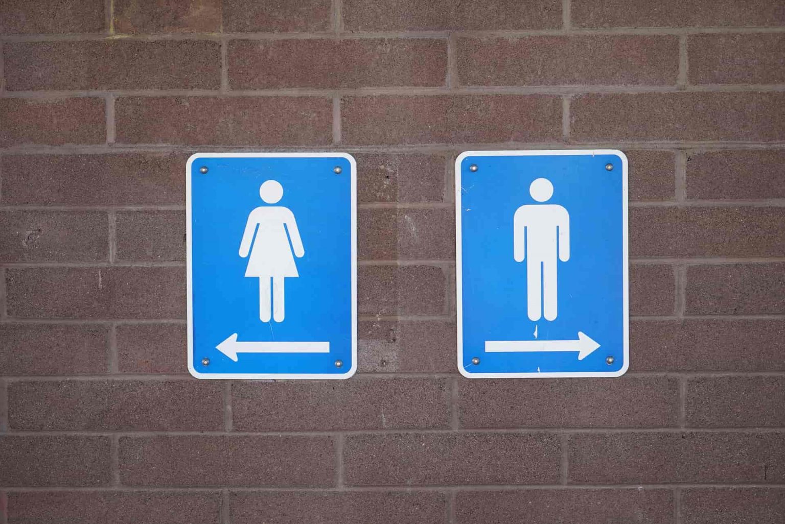 Why Do I Constantly Have to Pee? 10 Reasons for Frequent Urination